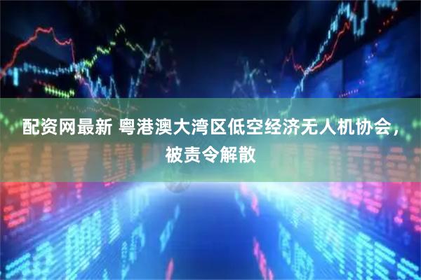 配资网最新 粤港澳大湾区低空经济无人机协会，被责令解散