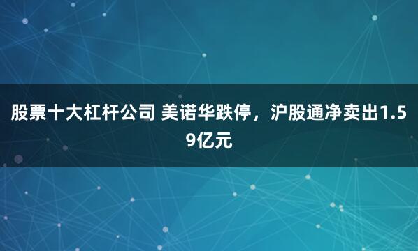 股票十大杠杆公司 美诺华跌停，沪股通净卖出1.59亿元